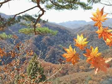 开云官方平台-黑山队大胜，晋级欧洲杯不可限量，黑山联赛水平